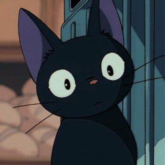 jiji737